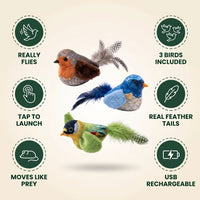 The ChirpCat Flock — Interactive Flying Bird Cat Toy